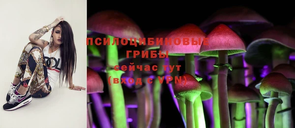 дурь Баксан