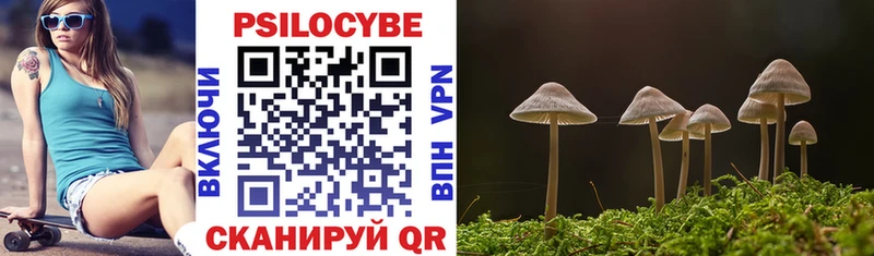 ОМГ ОМГ ссылка продажа наркотиков Большой Камень Галлюциногенные грибы Magic Shrooms